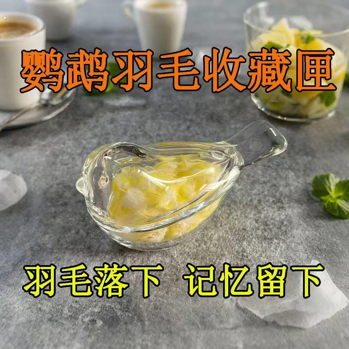 鹦鹉羽毛收纳盒纪念瓶相框宠物用品养鸟储存罐收藏收集器牡丹存放