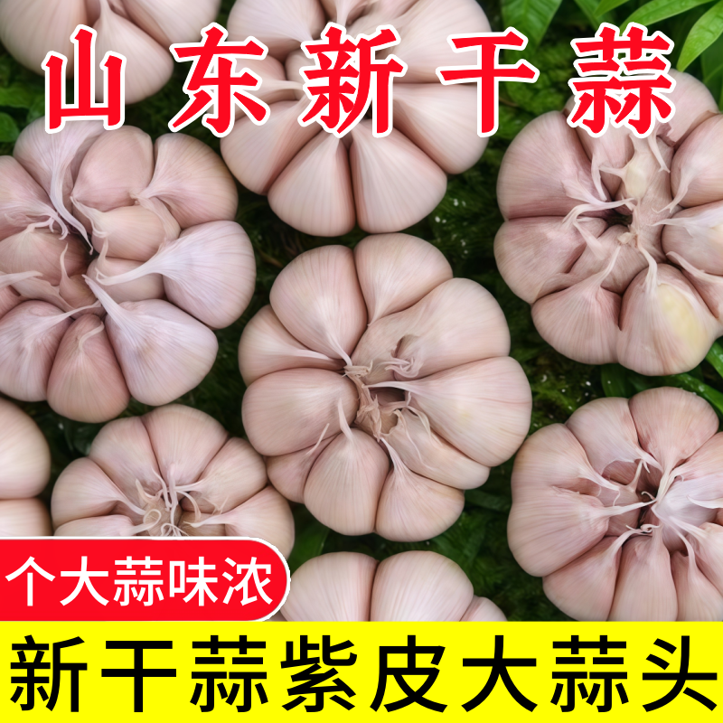 【提前过年大蒜头山东紫皮大蒜头