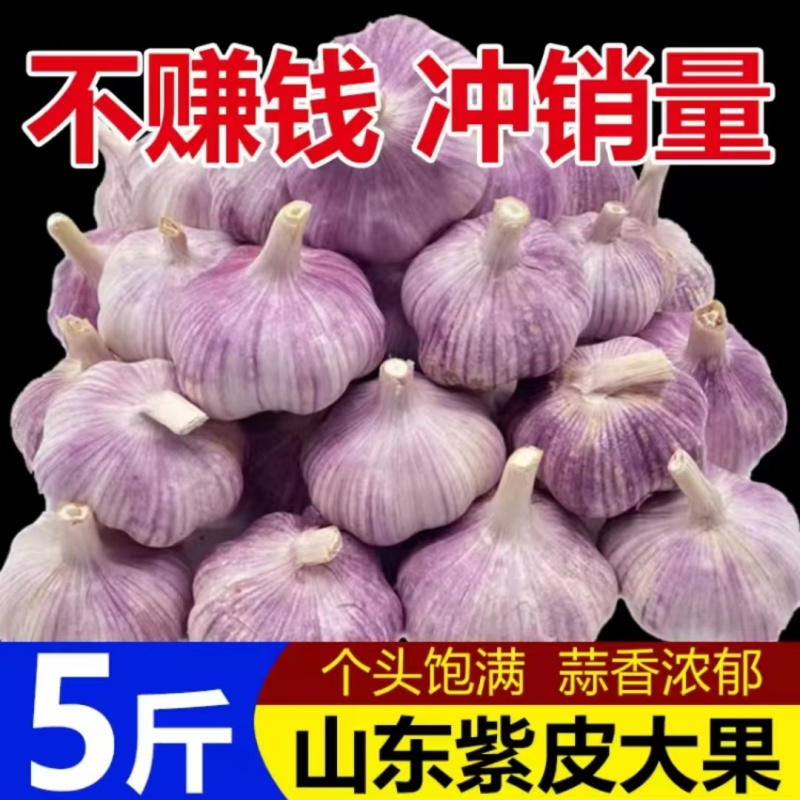 快抢新干蒜杰慕斯金乡紫皮大蒜头