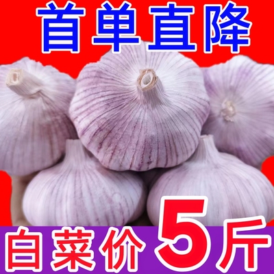 新干蒜】金乡大蒜头紫皮大蒜头