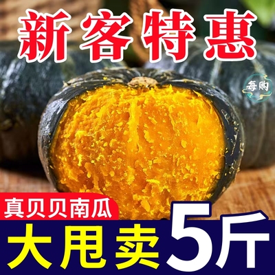 正宗贝贝小南瓜板栗味