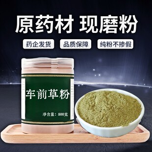 【纯粉无添加】车前草粉现磨50克新鲜晒干车前草可泡水非观赏中药
