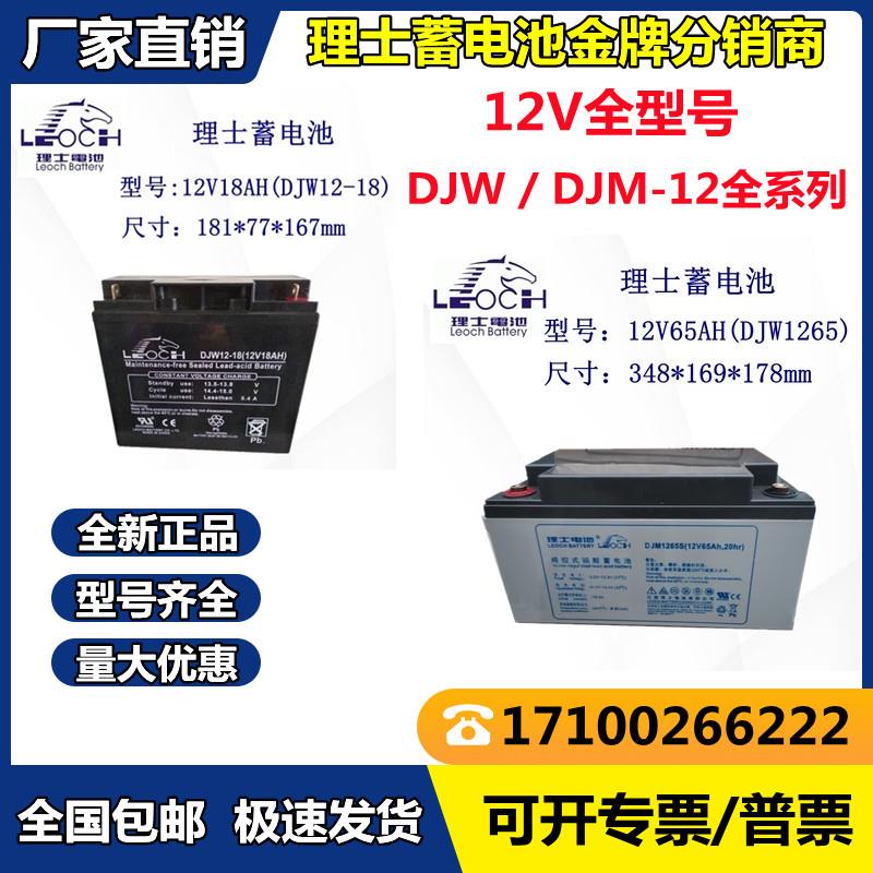 LEOCH理士蓄电池 DJW/DJM 12V18AH20AH24AH26AH38AH40AH65AH100AH