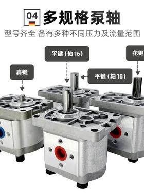 齿轮泵CBN-F304/F306/F308/F310/F312/F314/F316/F318/F320/F325