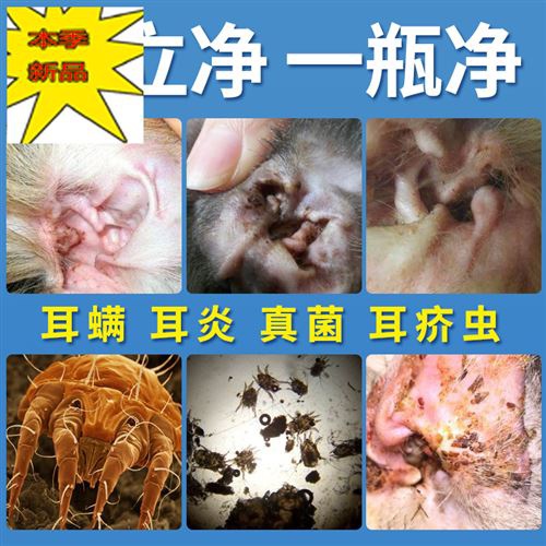 狗狗耳螨滴耳液泰迪猫用耳螨狗滴b耳油宠物用品耳朵清洁猫咪洗.