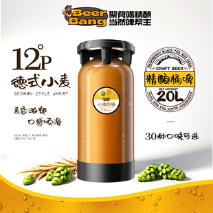 精酿啤酒桶装20升原浆鲜啤生啤扎啤酒吧打酒站酒馆饭店餐厅商用