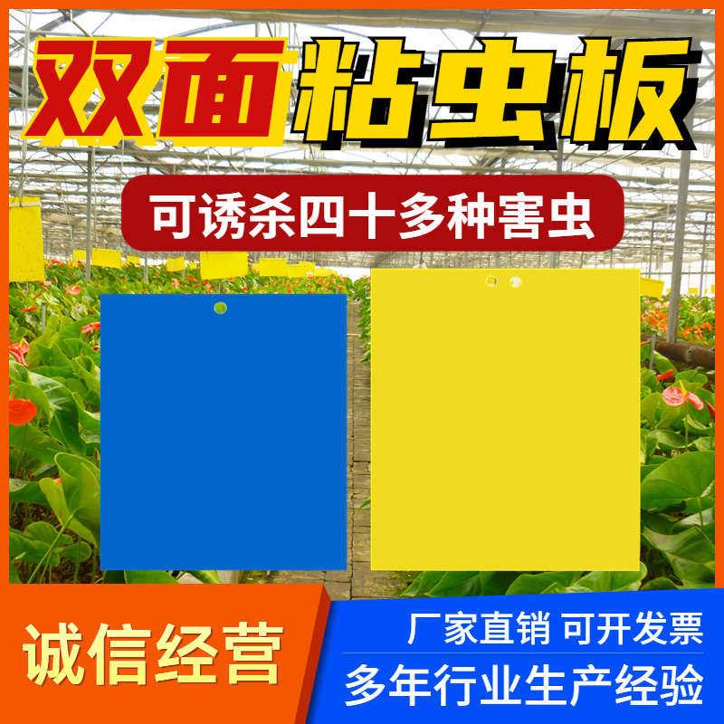 双面粘虫板大棚果树瓜菜园黄板沾小黑飞防虫贴纸蓟马蓝板诱虫板