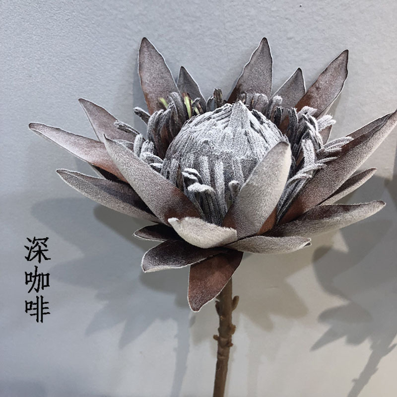 仿真干枯帝王花植毛欧式
