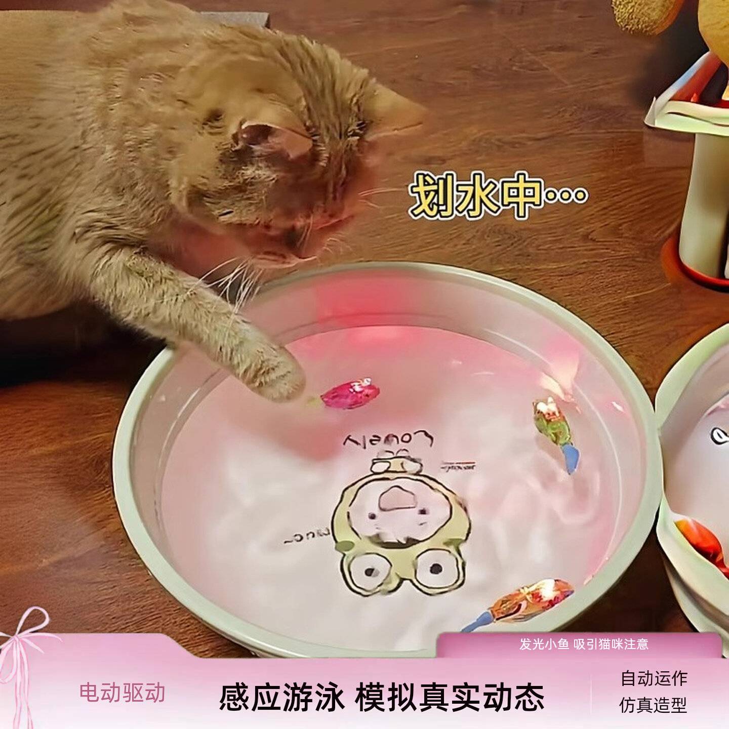 水珠逗猫神器猫玩具自嗨解闷发光
