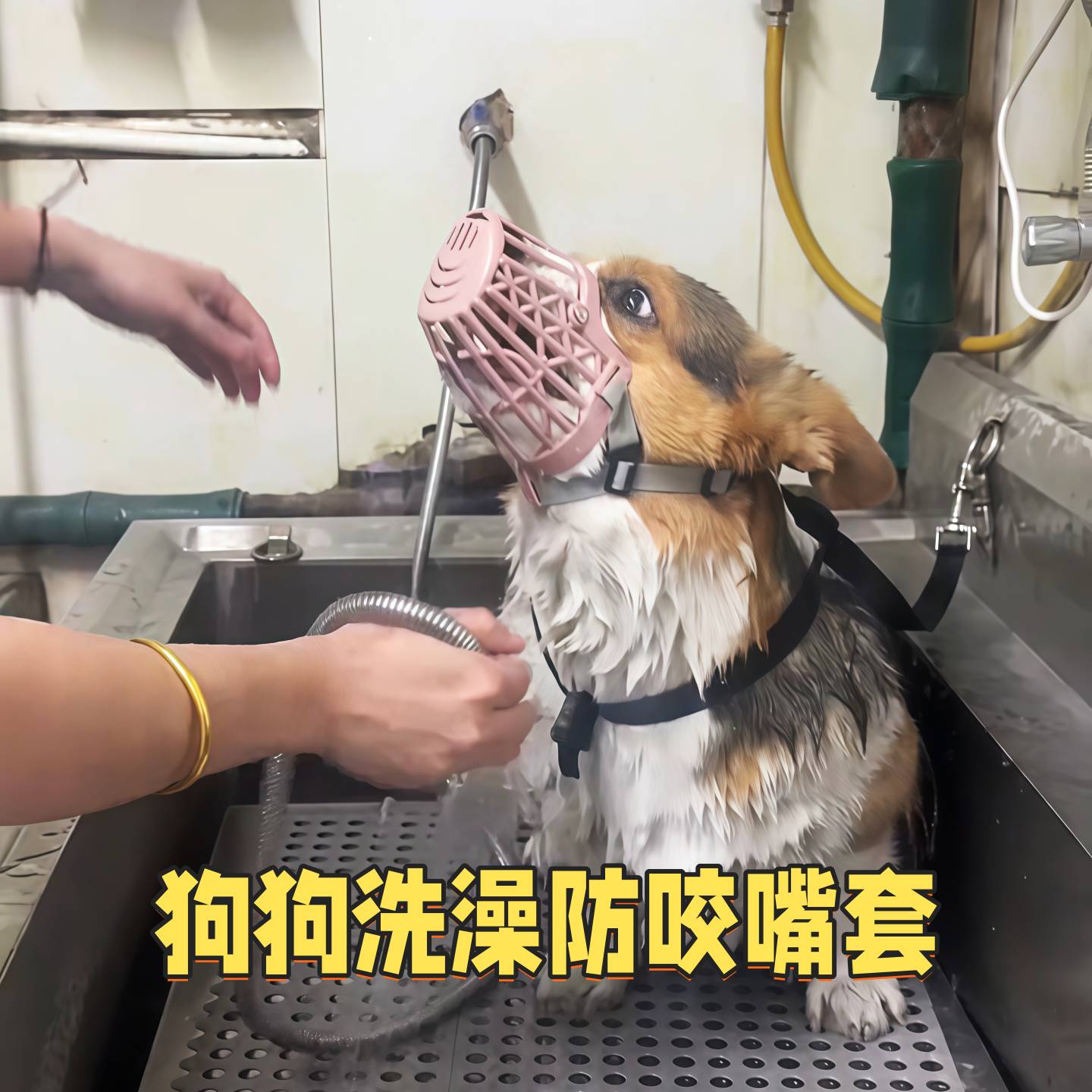 狗狗嘴套洗澡防咬人神器宠物专用