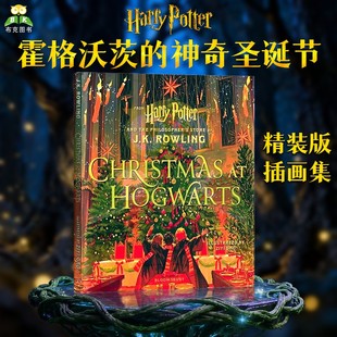 Gao 哈利波特 JK罗琳 Potter Harry Ziyi 英文原版 Hogwarts 圣诞节Christmas 哈利波特与魔法石英语故事绘本小说霍格沃茨