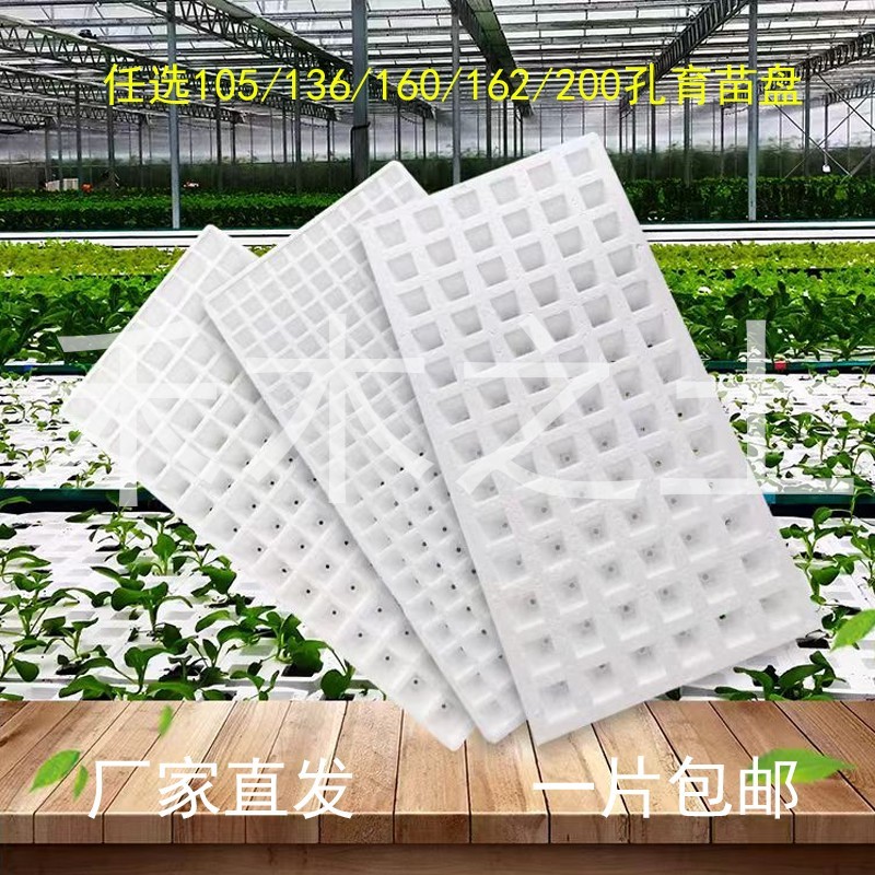 泡沫漂浮育苗盘水培烟苗辣椒苗茄子花菜育苗200 162 160 136 105