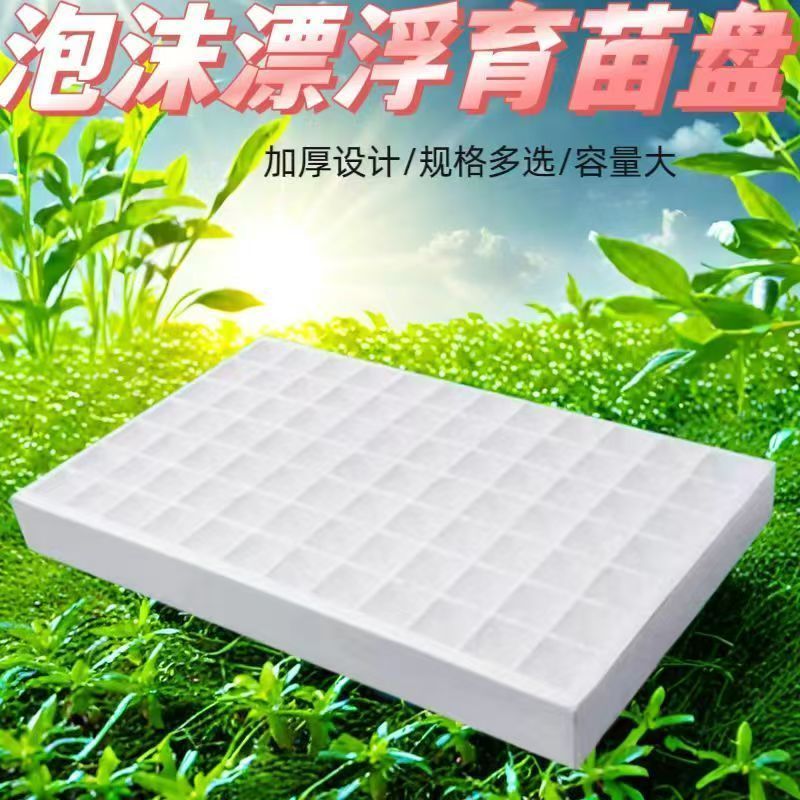 泡沫漂浮育苗200漂盘水上162托盘105加厚136孔160水培辣椒蔬菜用