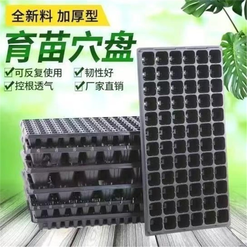 加厚育苗PVC穴盘托盘辣椒西瓜专用玉米草莓扦插秧苗蔬菜营养