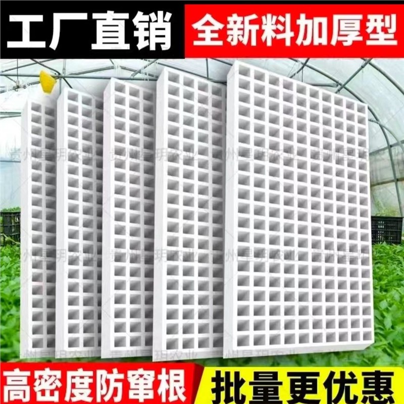 漂浮泡沫育苗专用加厚蔬菜水上托盘辣椒200孔162孔136孔160孔105