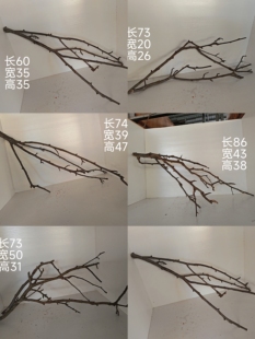 黄梨木枝条南美缸造景沉木黄栋木原生缸枝条黄梨枝鱼缸造景