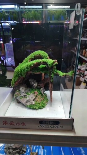 小米鱼缸定制造景25x25x30纯手工制作精选造景素材收到即可入缸
