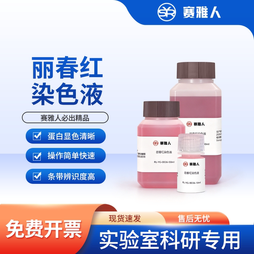 丽春红S染色液WB蛋白免疫印迹
