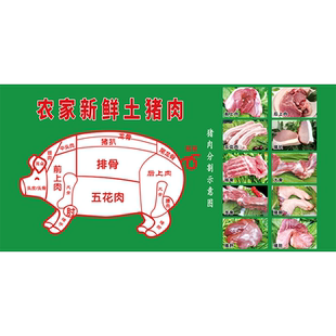 牛肉分割分解部位图分布图全牛羊肉鲜切牛肉店广告贴纸海报装饰hb