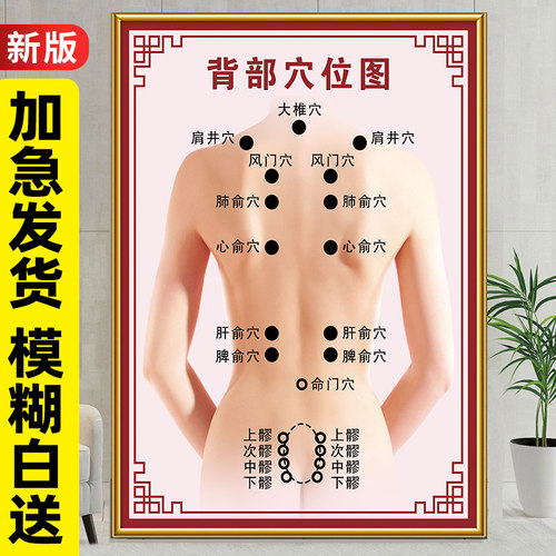 背部穴位图经络按摩海报