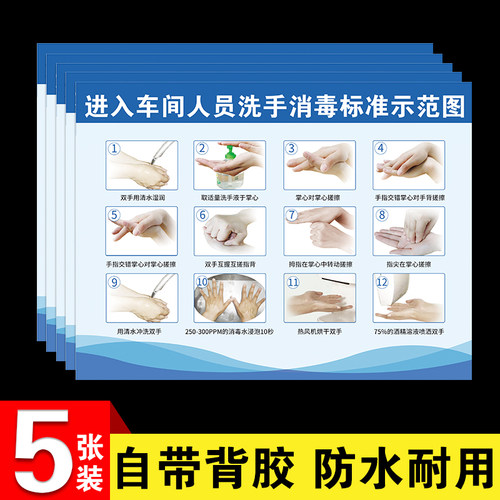 食品厂洗手消毒流程图亚克力