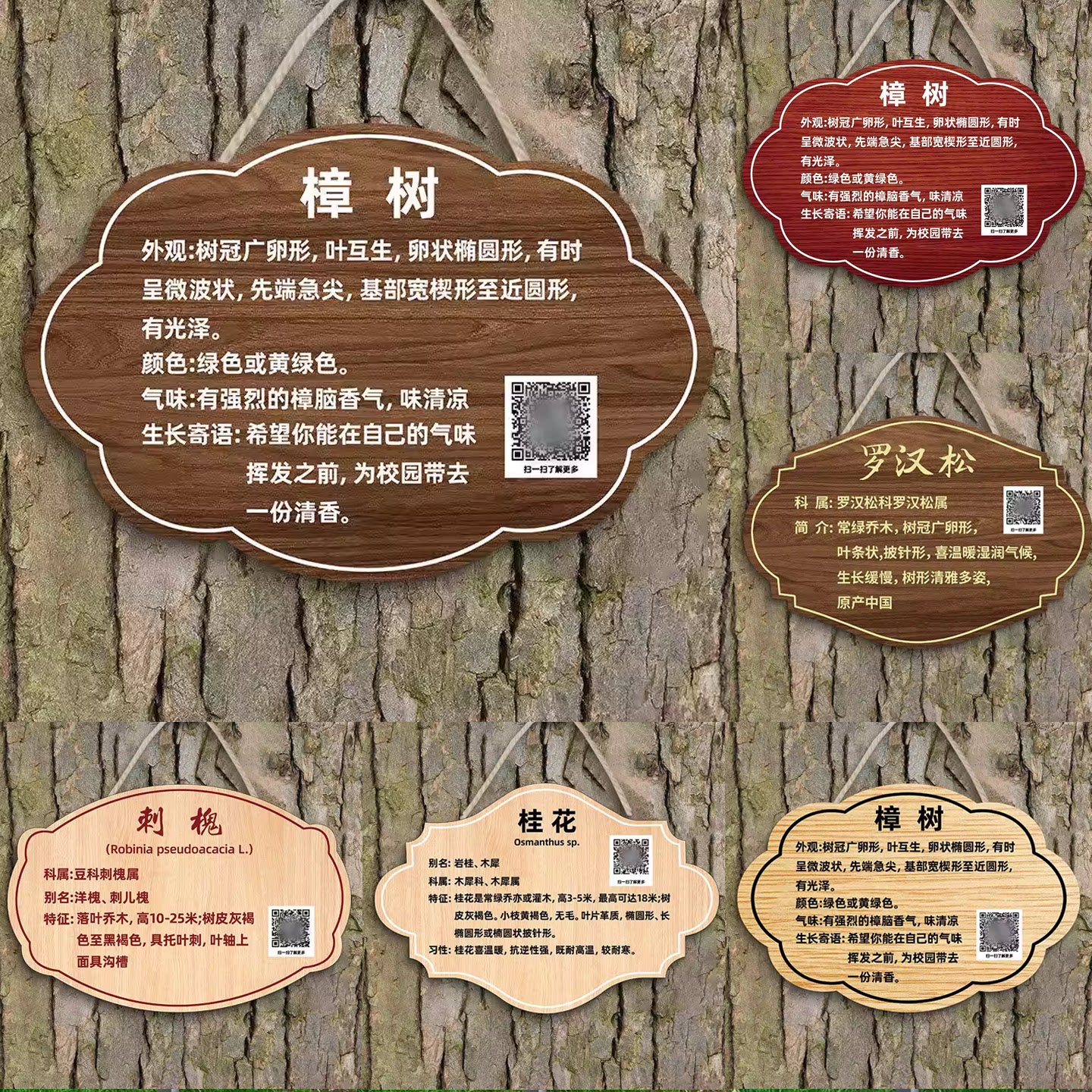 树牌挂牌定制防水树木标识牌植物牌植树节挂牌植树挂牌植树铭牌植树牌