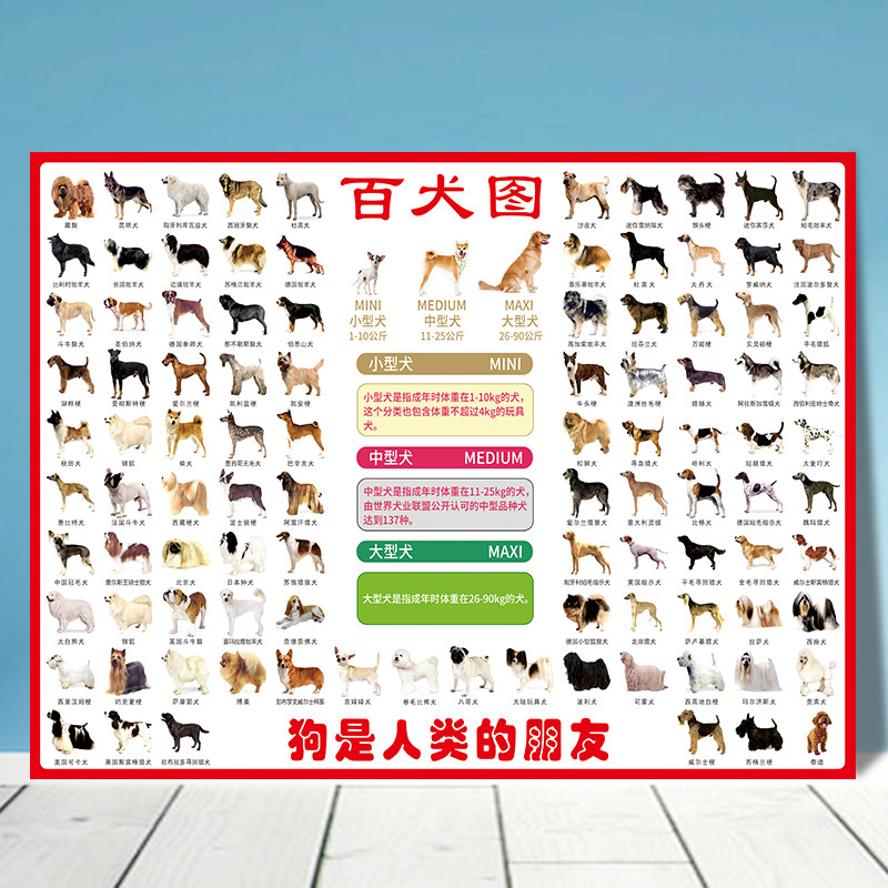 世界名犬挂图狗狗谱分类科普高清大幅百犬图海报宠物店装饰贴画hb,个性定制/设计服务/DIY,写真/海报印制,淘宝优惠券,粉丝福利购,淘宝优惠卷