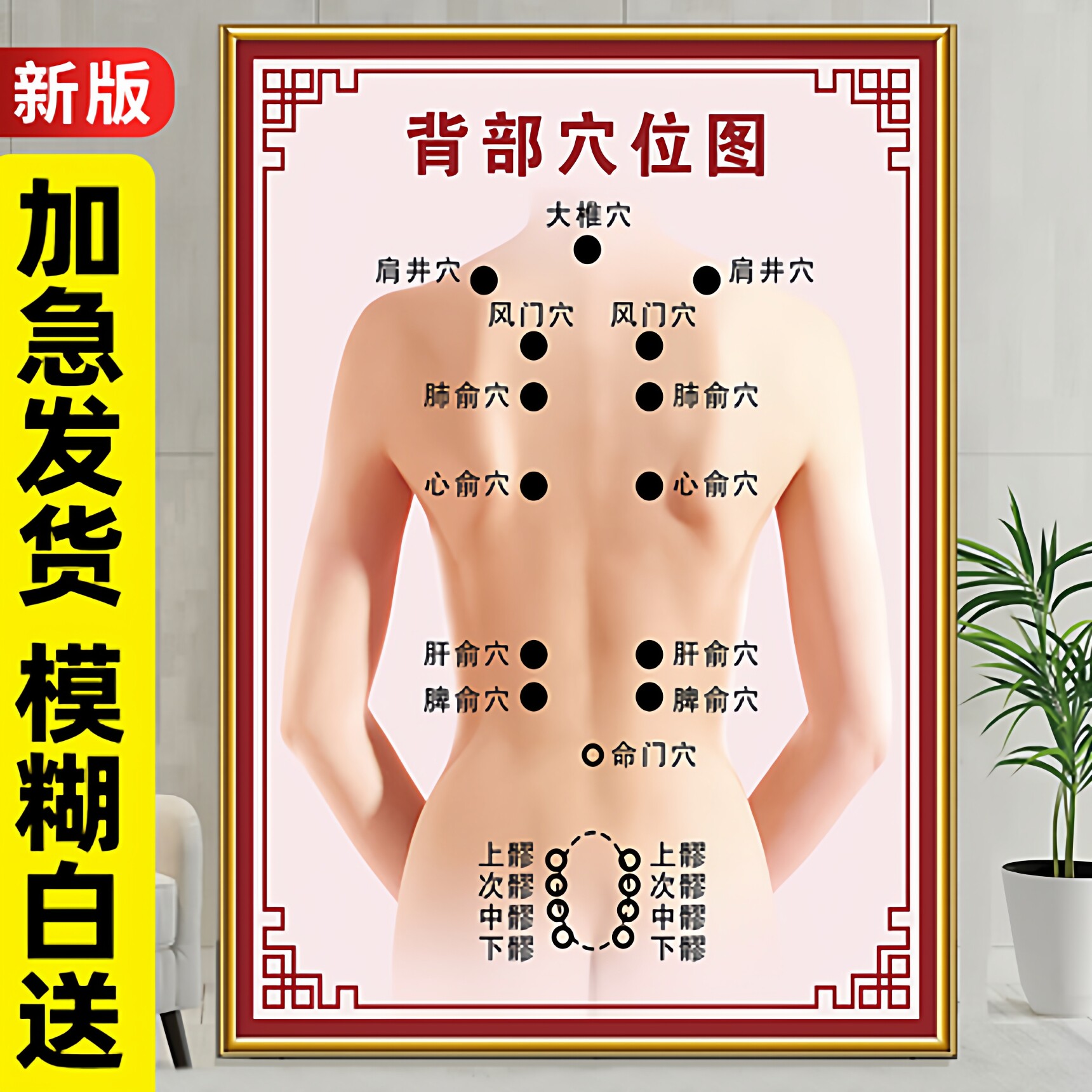 背部穴位图人体经络穴位标准大图中医肩颈按摩拔罐养生馆画海报hb