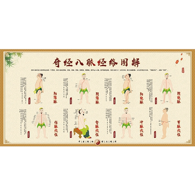 人体经络穴位中医养生海报