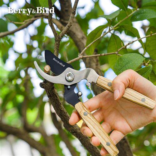 BerryBird园艺剪刀园林果树花卉盆景粗枝专用修枝剪省力园艺工具