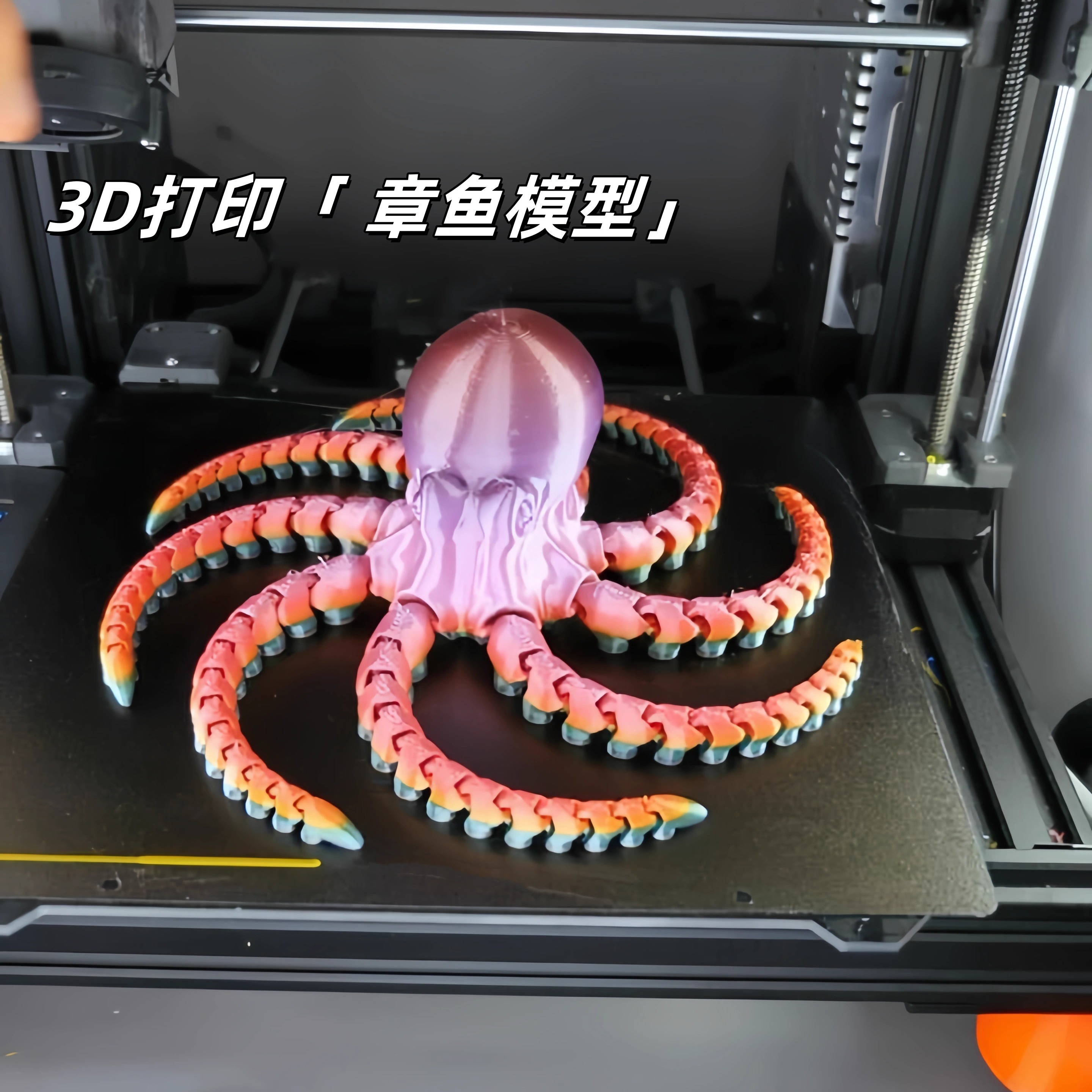 打印了只章鱼数数看有几只脚