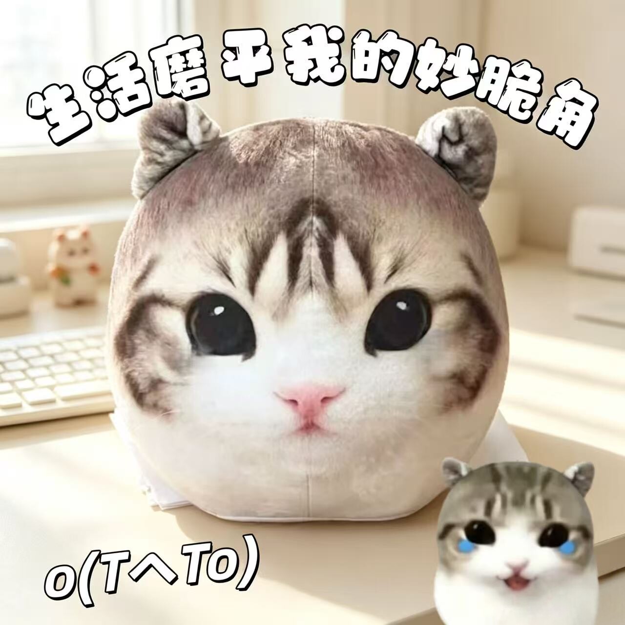爆火可爱妙脆角小猫表情包玩偶呆萌圆润毛绒公仔哦买噶小猫咪抱枕