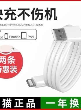 适用苹果iPad4平板paid四air3代数据线apadmini4二ipd爱派pad三充电器头apid5专用pro2原正装品快充插头套装