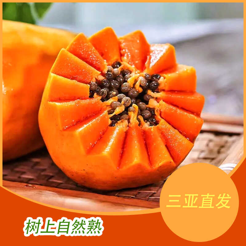 现摘细腻海南三亚红心牛奶木瓜
