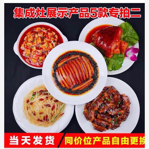 假菜模型仿真菜食品菜品模型仿真菜酒店集成灶样品假菜道具菜模