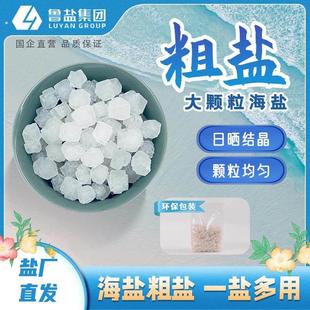 鲁晶大粒盐粗盐5斤天然海盐腌菜热敷净宅食品级家用