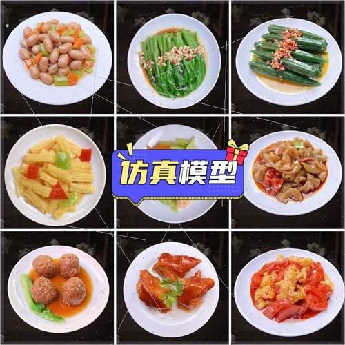 假菜定做仿真集成灶菜品模型影视剧道具假菜品定做家常菜街边小吃