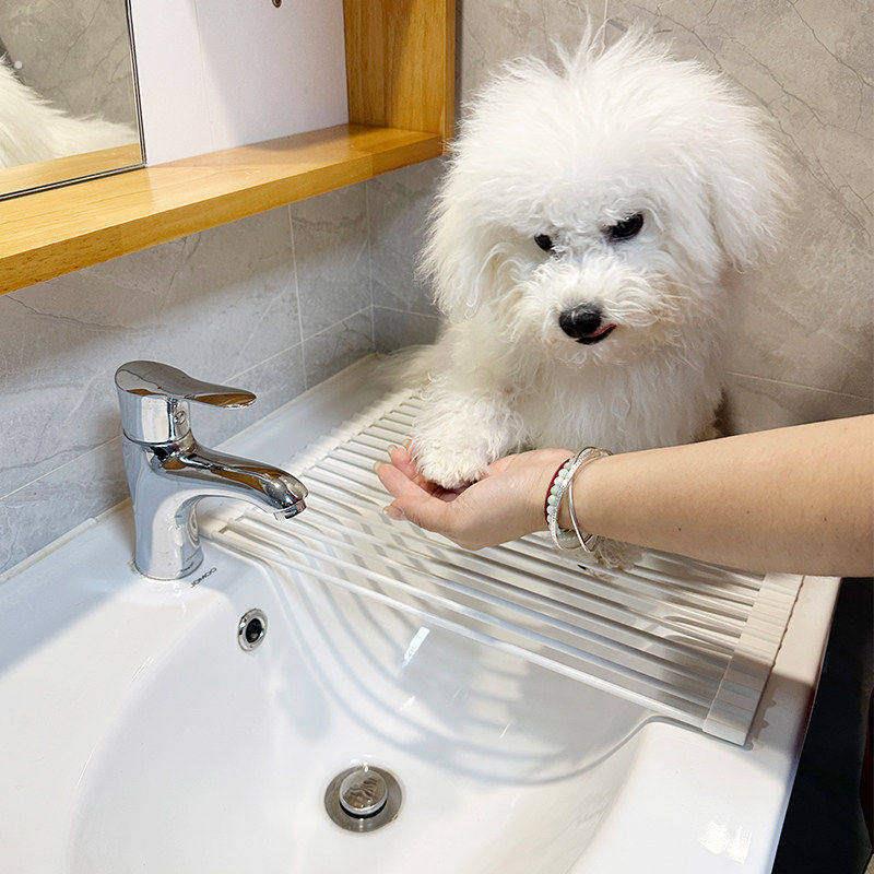 宠物猫狗洗澡洗脚洗手洗水台厕所浴室台面置物架沥水吹干猫狗毛发