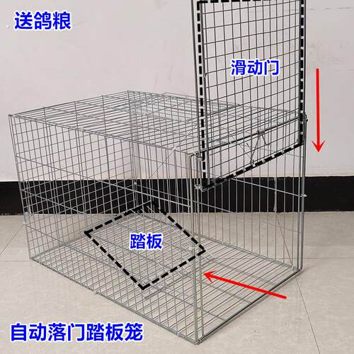 自动天落笼只进不出鸽子笼户外捕捉养殖笼防锈收纳笼收猫笼收鸡笼