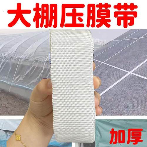 温室涤纶大棚压膜压膜线耐磨防晒白色绳子专用防风加厚抗老化扁带