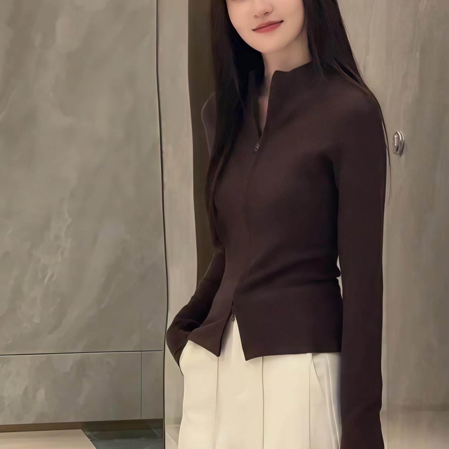ROUMIKL双拉链立领修身T恤女2025新款秋季长袖内搭外穿开衫简约显