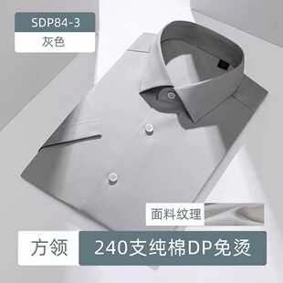 广东普宁衬衫男纯棉免烫条纹短袖商务休闲高端商场抗皱半袖衬衣