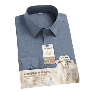 广东普宁衬衫羊毛衬衫男长袖7A抗菌除醛商务休闲秋季莫代尔衬衣