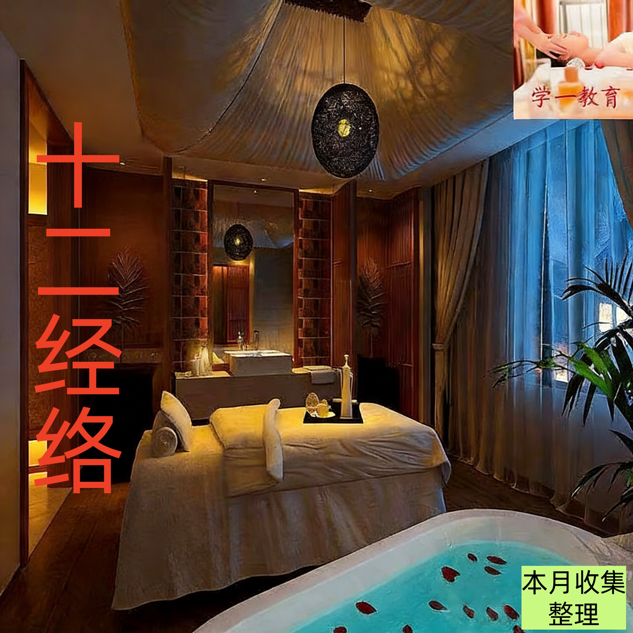 中医养生徒手十二经络易堵理疗疏刻录盘个性化服务