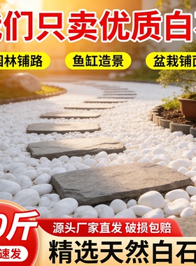 40斤大鹅卵石天然小白石子多肉铺面盆栽花盆庭院造景装饰白色石头