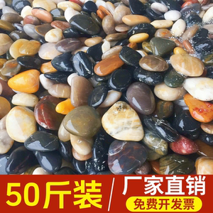 50斤天然鹅卵石铺路铺地庭院园林造景大小石头雨花石原石鹅软暖石