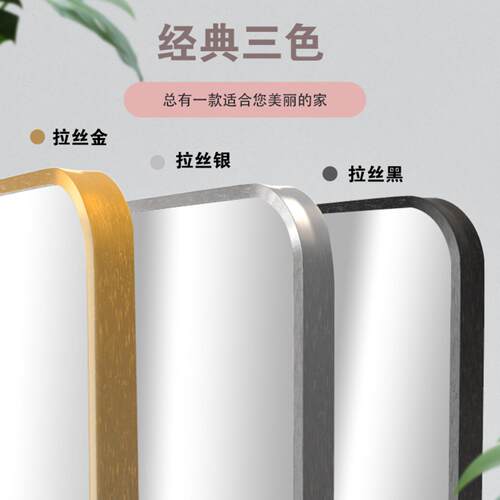 镜子出租屋铝合金落地镜全身镜家用卧室穿衣镜挂墙网红出租屋简约