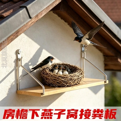 燕子窝接粪神器屋檐下接粪盘免打孔鸟屎挡板支架墙上鸟屎的遮挡物