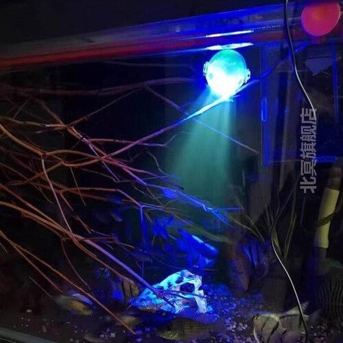 鱼缸灯小夜灯ed射灯防止龙鱼掉眼夜明珠遥控七彩变色舞台潜水射灯