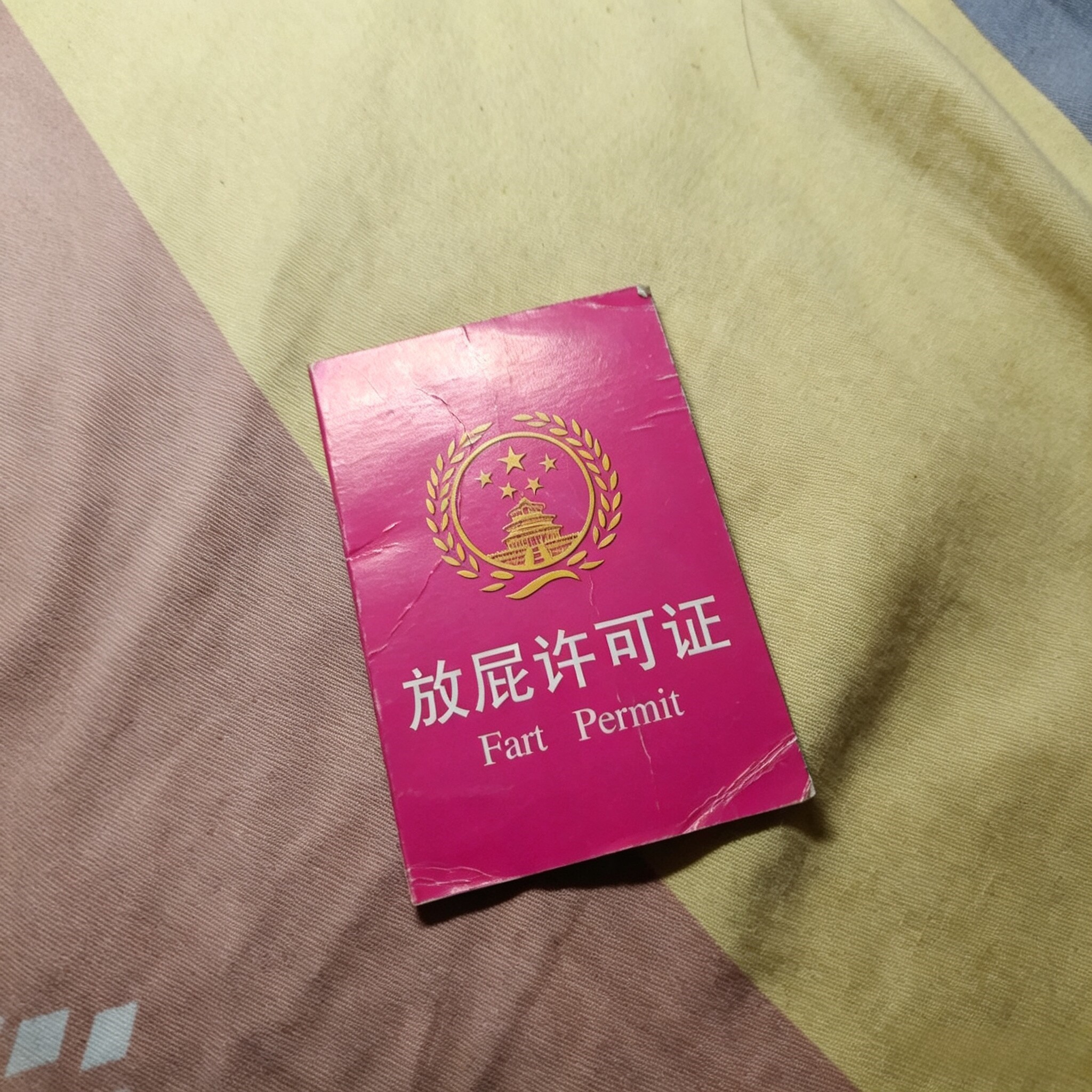 放屁许可证书开学搞笑创意整蛊朋图片